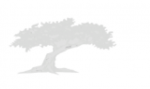 Cypress Tree - Elder Mediation Group